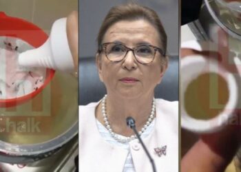 Pekcan’ın dezenfektan skandalında yeni detay