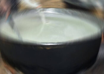 Nijerya’da yemeğe tuz yerine yanlışlıkla gübre atıldı: Çok sayıda ölü var