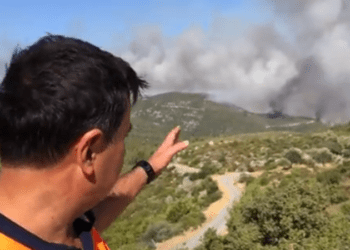 Kissebük tehlike altında! Bodrum Belediye Başkanı’ndan çağrı