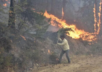 Bir orman yangını da Aydın Karacasu‘da başladı