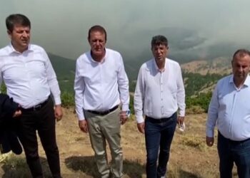 “Canlıların yok olmasını maalesef acı içinde izliyoruz”