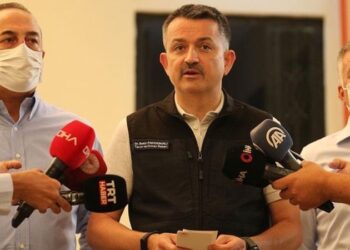 Bakan Pakdemirli’den yangınlarla ilgili yeni açıklama