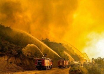 ‘Help Turkey’ etiketiyle yapılan paylaşımlara soruşturma