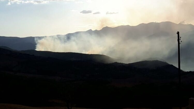 Tunceli’de çıkan yangın için yardım çağrısı