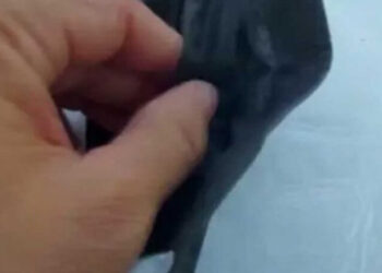 Bunu da gördük: Maskeyi bakın ne amaçla kullandı…