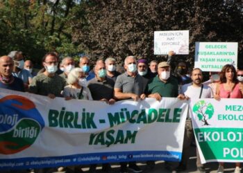 STK’lardan ortak açıklama: ‘Yangınlar insanlık suçudur’
