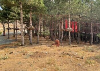Milyonluk yatırım çürümeye terk edildi