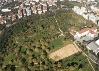 İBB’den Validebağ Korusu için yol haritası