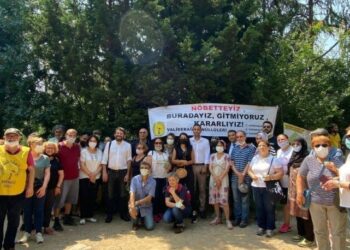 CHP’li Tanal, Validebağ için harekete geçti
