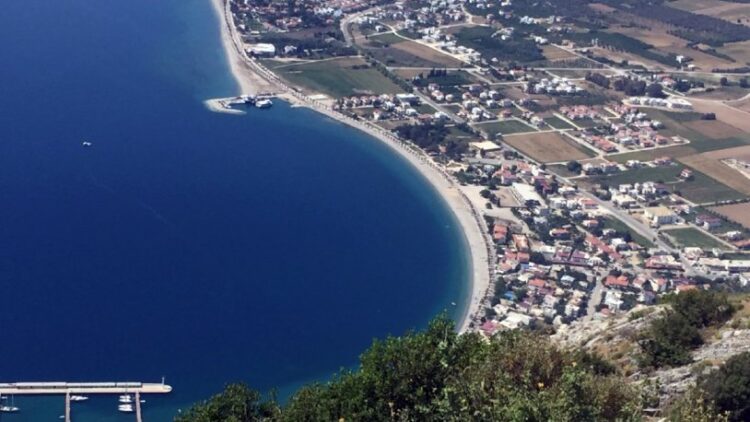 Bodrum Belediye Başkanı’ndan, Ali Ağaoğlu’na tepki
