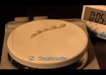 Böylesi ilk kez üretildi… Temas algısına sahip şekil değiştirebilen robot