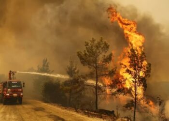 BM’den iklim değişikliği uyarısı: Dünya felakete doğru ilerliyor
