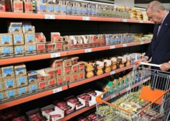 Erdoğan’ın 2019’daki alışveriş sepeti ne kadar zamlandı?