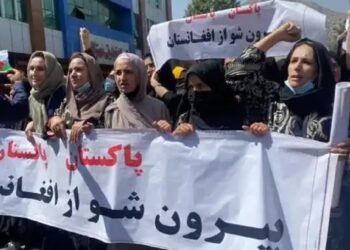 Taliban sözcüsü: Kadından bakan olamaz, onlar doğursun