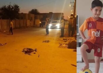 Trafik raporuna göre zırhlı aracın ezdiği Miroğlu ‘asli kusurlu’