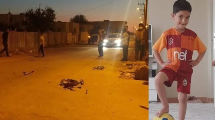 Trafik raporuna göre zırhlı aracın ezdiği Miroğlu ‘asli kusurlu’