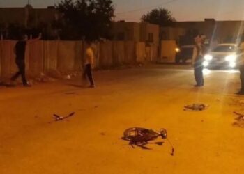 Mihraç Miroğlu’na çarpan polis, ifadesi alındıktan sonra serbest bırakıldı