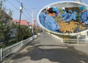 Çin’in Xinjiang Uygur Özerk Bölgesi’nin güzel köyü: Huangdi Köyü