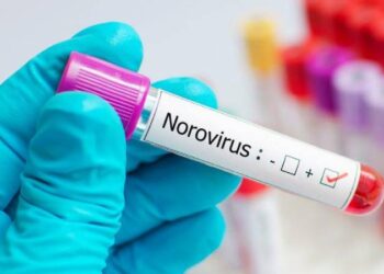 Şimdi de Norovirüs uyarısı