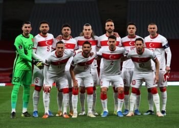 A Milli Takım’ın yeni teknik direktörü belli oldu