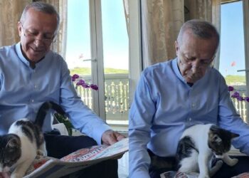 Erdoğan ‘güncel gelişmelere pek meraklı’ notuyla paylaştı