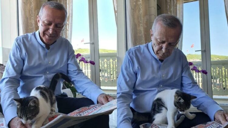 Erdoğan ‘güncel gelişmelere pek meraklı’ notuyla paylaştı