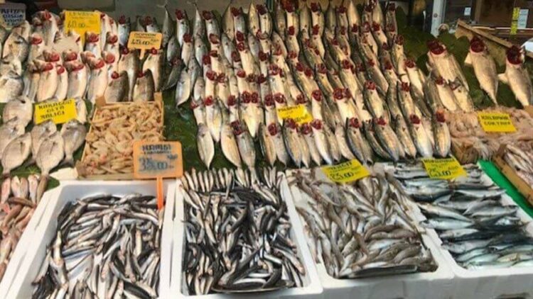 Ağdan tabağa gelene kadar yüzde 100 artıyor