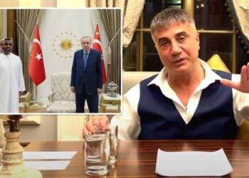 Erdoğan’dan yeni BAE adımı: Sedat Peker ayrıntısı