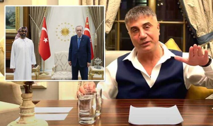 Erdoğan’dan yeni BAE adımı: Sedat Peker ayrıntısı