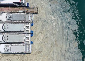 ‘Müsilaj yeniden patlayacak’ uyarısı: Marmara denizi öldü…