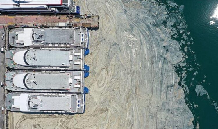 ‘Müsilaj yeniden patlayacak’ uyarısı: Marmara denizi öldü…