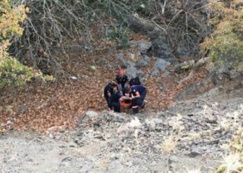 İhtiyaç gidermek isterken uçurumdan yuvarlandı