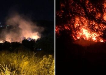 Bodrum’da makilik alanda çıkan yangın, tarım arazilerine sıçradı