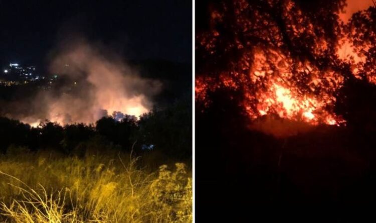 Bodrum’da makilik alanda çıkan yangın, tarım arazilerine sıçradı