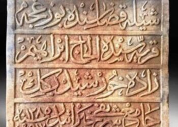 İBB Genel Sekreter Yardımcısı Polat’tan, Cumhurbaşkanı’nın danışmanına tepki