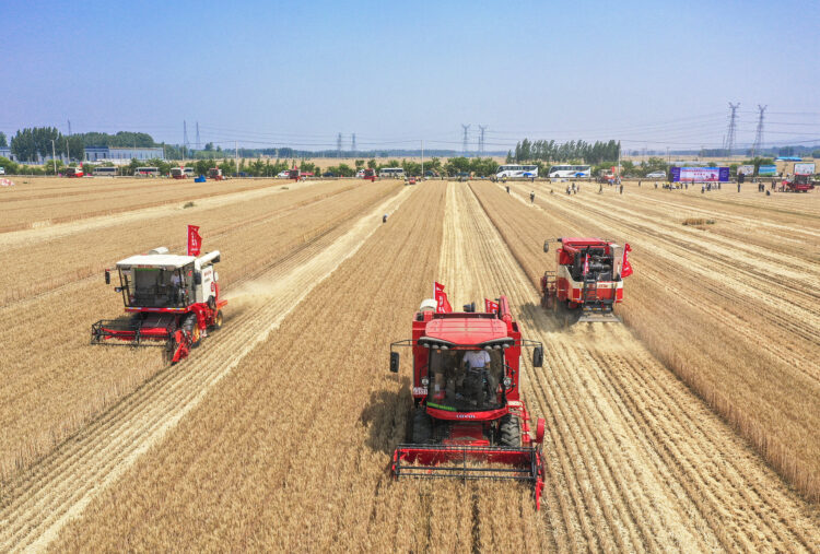 Xi’den Uluslararası Gıda Kayıplarını Azaltma Konferansı’na tebrik