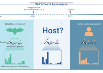 Çinli bilim insanları: COVID-19’un kaynağı doğal evrim sürecine uygun