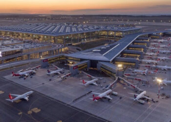 Ağaçların kesildiği İstanbul Havalimanı arazisinde ‘orman’ bilmecesi