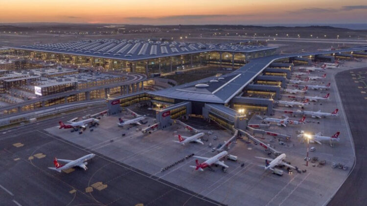 Ağaçların kesildiği İstanbul Havalimanı arazisinde ‘orman’ bilmecesi