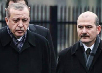 Erdoğan, İbrahim Kalın ve Süleyman Soylu hakkında suç duyurusu