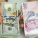 Güçlü dolar karşısında Türk lirası savunmasız kaldı
