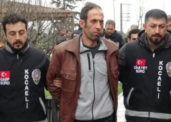 8 yaşındaki çocuğun öldürülmesine ilişkin davada Palu ailesinden 3 kişiye tahliye
