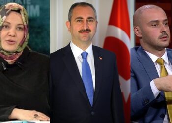 Abdulhamit Gülcüler-Pelikancılar kavgası