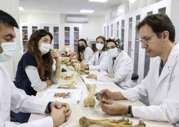 Hekimler için kadavra ithalatının ücreti dudak uçuklattı