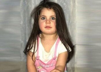 Leyla Aydemir cinayeti davasında kan donduran ifadeler