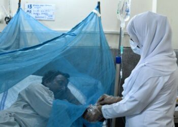 Pakistan’da Dang humması salgını endişesi