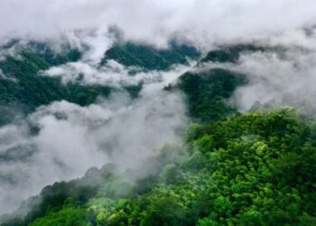 Çin, ulusal park sistemi için yerleşim planını açıklayacak