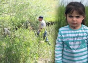 Leyla Aydemir davasında karar açıklandı