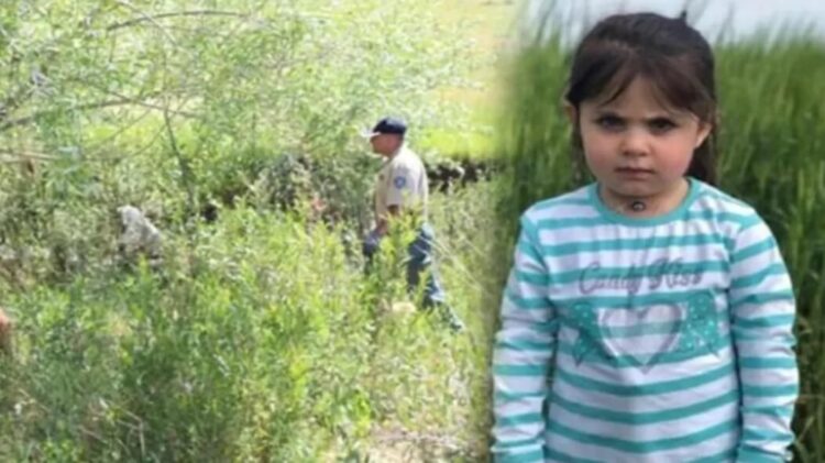 Leyla Aydemir davasında karar açıklandı