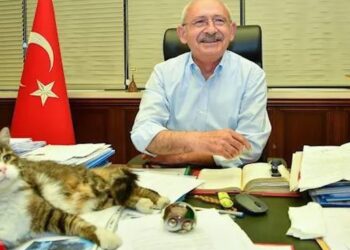 Kılıçdaroğlu’ndan ‘kedili’ paylaşım